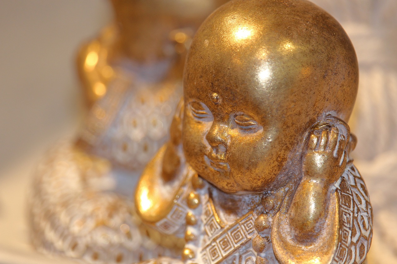 Are the Mind and Consciousness the Same Thing?